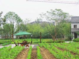 田園主義 田園主義