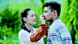 又見油茶花開 又見油茶花開