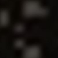 HR 1137 RASS 彩色圖