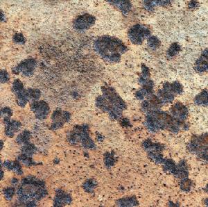 異金屬腐蝕 異金屬腐蝕