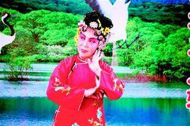 李秀媛[遼寧省傑出二人轉表演藝術家]