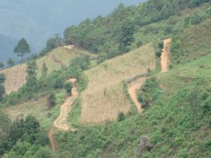 大昔騰自然村 大昔騰自然村