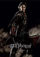 哈利&middot;波特與火焰杯[英美2005年邁克&middot;紐維執導電影]