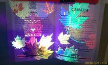 紫外線下的加拿大護照內頁
