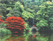 九溪煙樹景點特色圖片