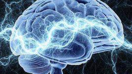 智慧[“智慧”的名詞解釋]