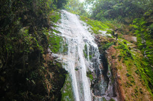 天池楠木溝風景區 天池楠木溝風景區
