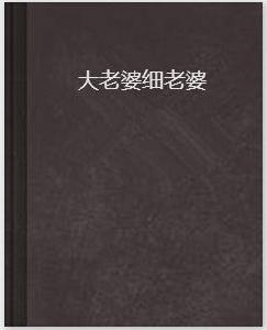 大老婆細老婆 大老婆細老婆