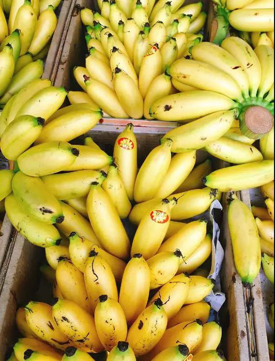 去了瀘沽湖才知道,女兒國真的存在。