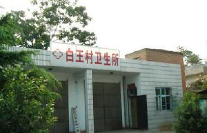 白王村[河南省洛陽市洛龍區下轄村]
