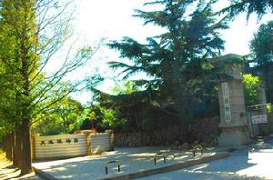 大連植物園 大連植物園