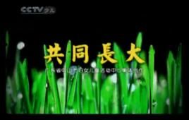 共同長大 共同長大