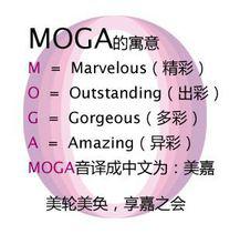 美嘉[文化藝術行業社區網站]