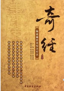 梅花磁針灸 梅花磁針灸