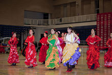 西班牙弗拉門戈風情展示