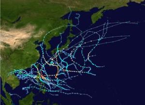 颱風尤特