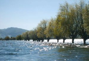 麗江濕地公園 麗江濕地公園