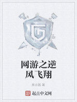 網遊之逆風飛翔 網遊之逆風飛翔