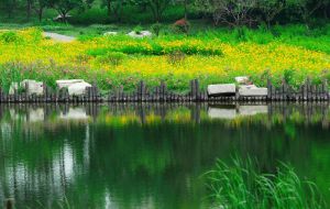 浞河景區 浞河景區