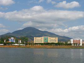 富林鎮[廣東省雲浮市雲安區富林鎮]