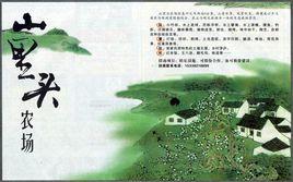 山裡頭農場 山裡頭農場