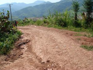 麻栗樹自然村 麻栗樹自然村