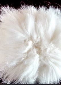 兔毛 兔毛