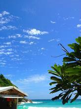 我們的夏天[曹文原創歌曲]