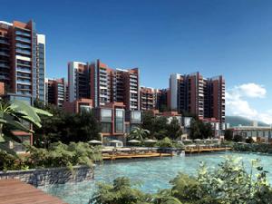 會龍山溪谷 會龍山溪谷