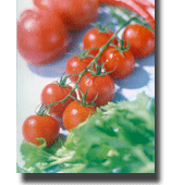 中國廣饒孫子國際文化節