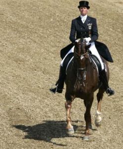 馬術團體盛裝舞步賽 馬術團體盛裝舞步賽