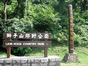 獅子山郊野公園 獅子山郊野公園