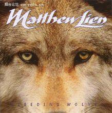 馬修·連恩作品照