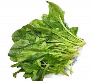 菠菜