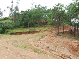 修邑村發展重點-進村路