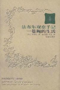 蒼蠅的生活 蒼蠅的生活