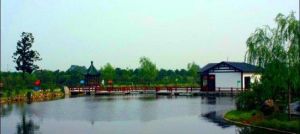 興望文化園 興望文化園