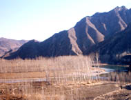 姜杖子村 姜杖子村