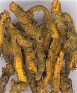 擬變緣小檗 擬變緣小檗