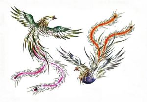 百鳥之王 百鳥之王