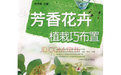 《芳香花卉:植栽巧布置》 《芳香花卉:植栽巧布置》