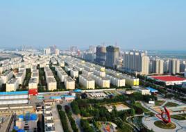 羅氏等級評分法