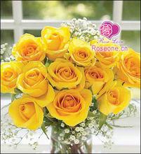 黃玫瑰