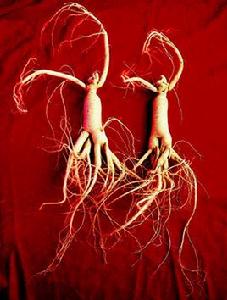 東北四寶 東北四寶