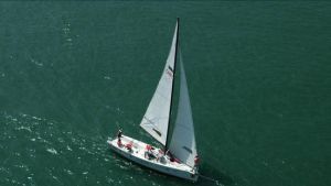 飛魚帆船運動俱樂部 飛魚帆船運動俱樂部