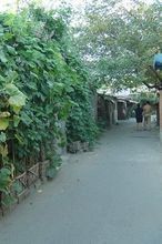 濱海胡同 濱海胡同