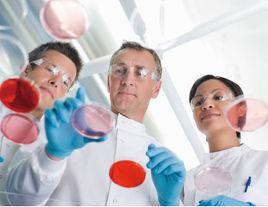 免疫檢測 免疫檢測