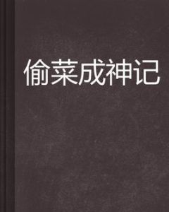 偷菜成神記