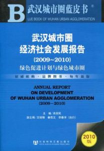武漢城市圈經濟社會發展報告