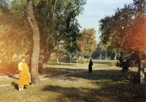 祗樹給孤獨園 祗樹給孤獨園